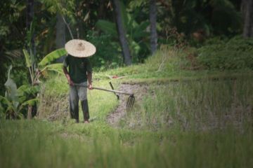 SEORANG PENABUR VI – Mempersiapkan Tanah